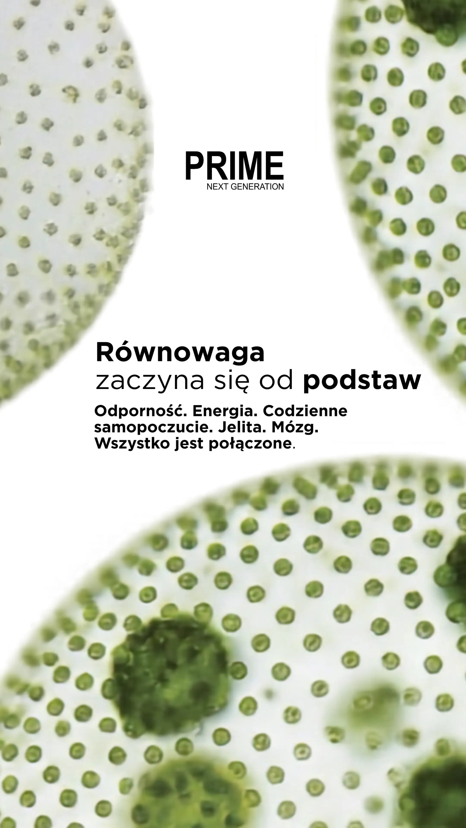 Odporność. Energia. Codzienne samopoczucie. Jelita. Mózg. Wszystko jest połączone.
