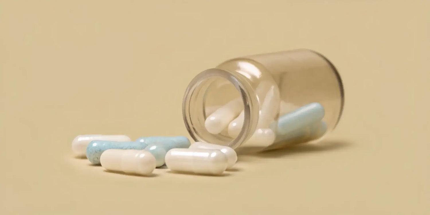 Co się dzieje po odstawieniu probiotyku? Mikrobiota jelitowa, zdrowie jelit i samopoczucie